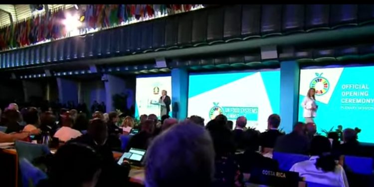 UN Food Systems Summit +2 Stocktaking Moment (UNFSS+2)